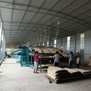 Lumber Veneer Dryer Machines For Plywood Production Line 