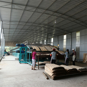 Popular Wood Veneer Drying Machine