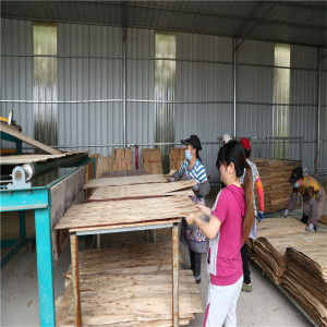 Wood Veneer Drying Machine