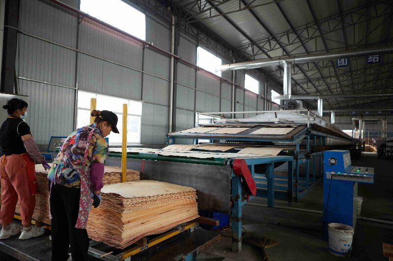 veneer drying