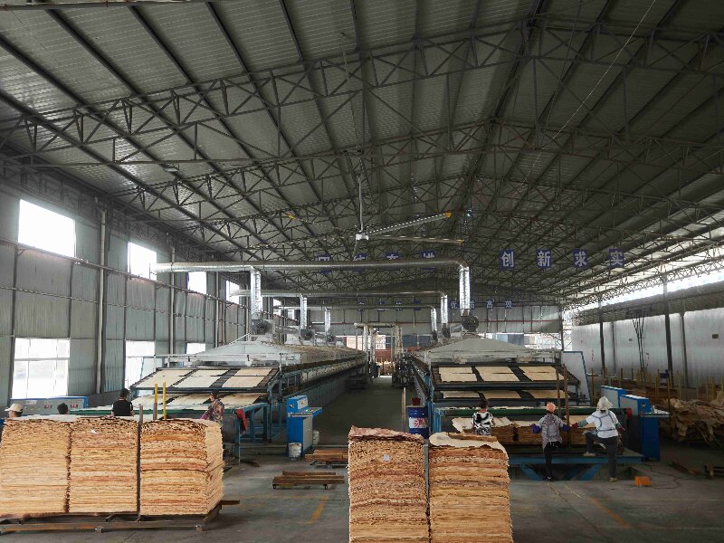 wood veneer dryer