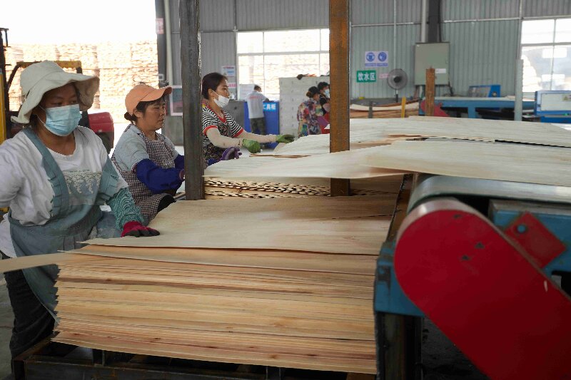 core veneer dryer