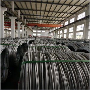 316 Corrosion Resistant  Wire Rod 