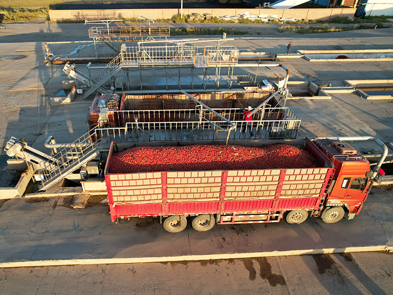 tomato paste 28-30%HB tomato paste 28-30%HB