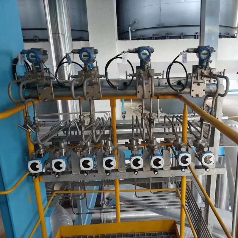 MF16微小流量計(jì)在己內(nèi)酰胺合成系統(tǒng)中微小流量精密投加與過程監(jiān)控中的應(yīng)用