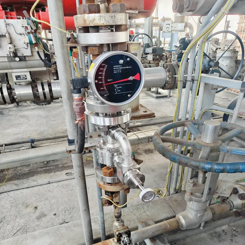 MFC吹掃裝置在儀表管線與過程系統(tǒng)的氮?dú)獯祾吲c防護(hù)中的應(yīng)用