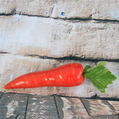 14.2x3.7cm Künstliche / Dekorative Simulation Gemüse Rote Karotte