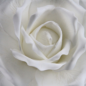 65Cm Artificial Decorative Printed Foam Flower Big Rose Single