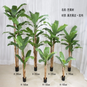 Plantas verdes a gran escala en la simulación de árboles de plátano de alta simulación