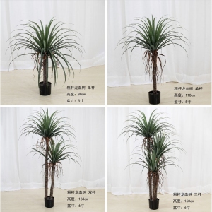 Simulated plants, hotel lobby simulated trees, and rough dragon blood trees