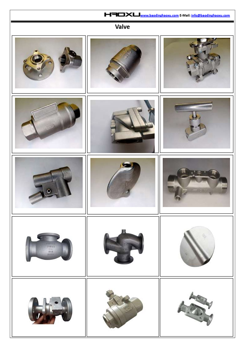 Stainless Steel Pump Valve