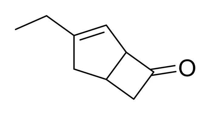 3-乙基雙環(huán) [3.2.0] 庚-3-烯-6-酮