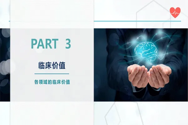 類(lèi)腦智能項(xiàng)目簡(jiǎn)介