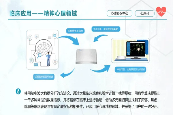 類腦智能項(xiàng)目簡介