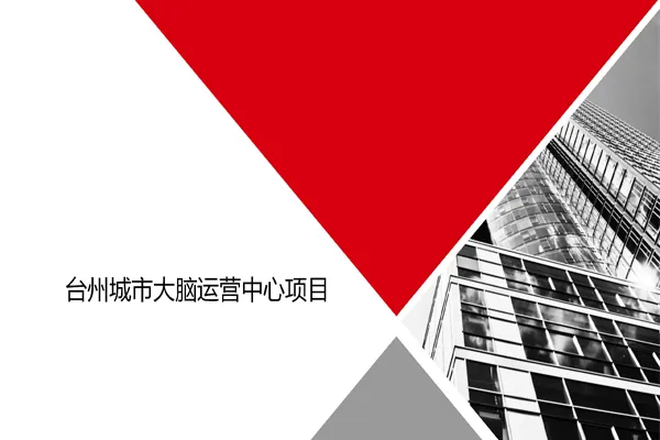 臺州市大腦案例