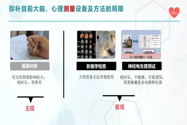 類(lèi)腦智能項(xiàng)目簡(jiǎn)介