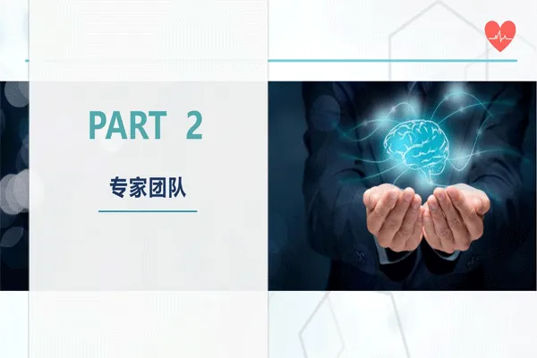 類腦智能項(xiàng)目簡介