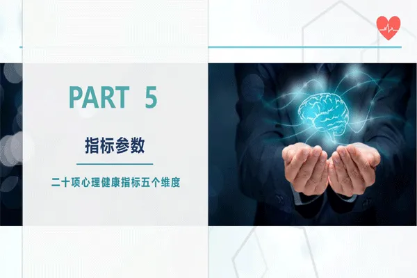 類腦智能項目簡介