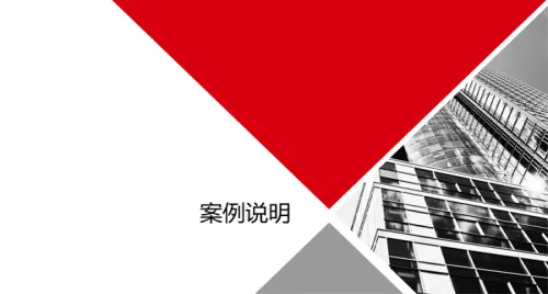 實例探究