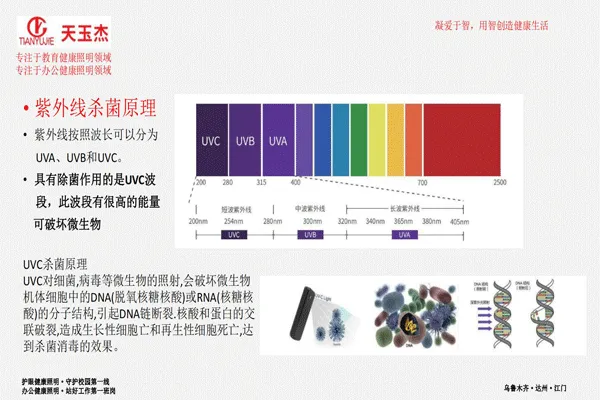 可見光抗菌除甲醛教室護眼燈