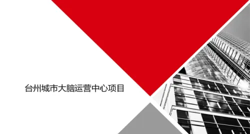 臺州市大腦案例