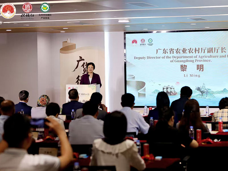 案例图6.jpg 案例图6.jpg