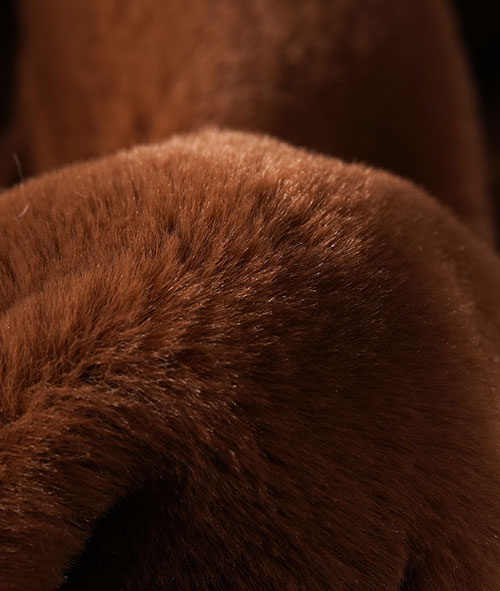 Solid color - rabbit fur Solid color - rabbit fur