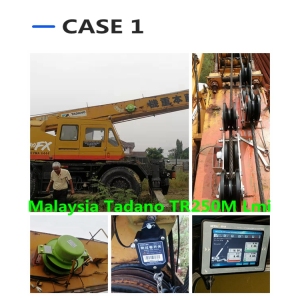 Sistema indicador de momento de carga de grúa móvil Tadano TR250M equipado con WTL-A700 lmi para cliente de malasia