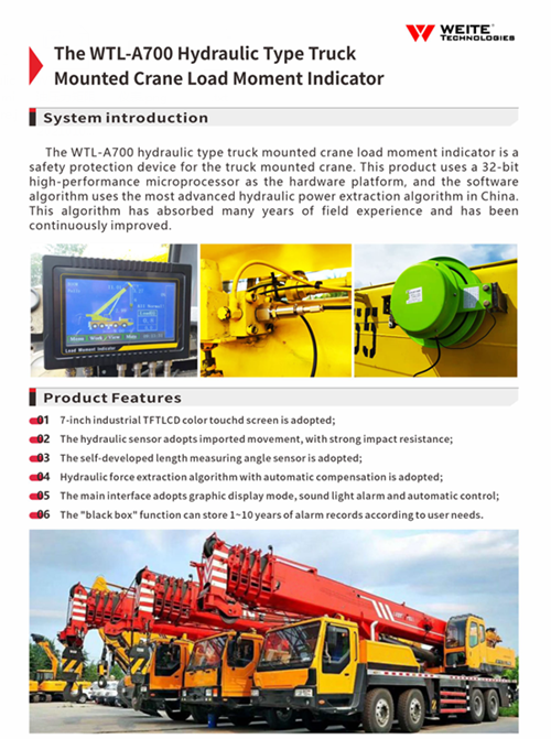 hydraulic type crane lmi system500.png