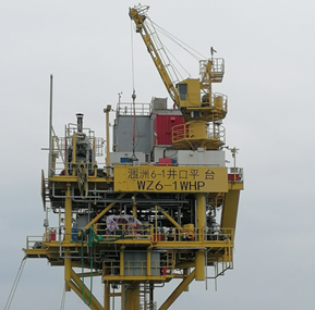 Indicateur de capacité de charge lmi de la grue WT-W650V3 pour la plate-forme marine HuaNan (SCM) 5 t de la grue offshore WZ6-1