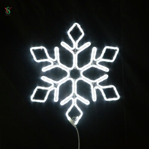 Best Selling 2D Snowflake Light