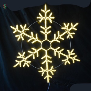 LED 2D Snowflake Light