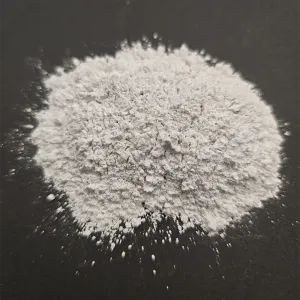 세피 올 라이트 분말