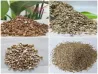 Vermiculite