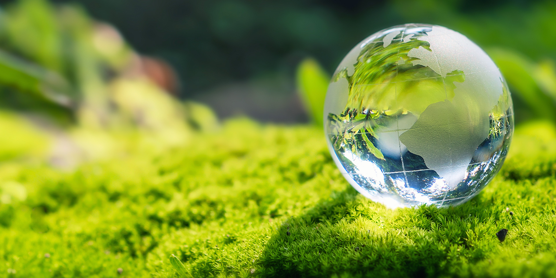 6ed125745f482a6c1c11f621929041d05fb37750.jpg 6ed125745f482a6c1c11f621929041d05fb37750.jpg