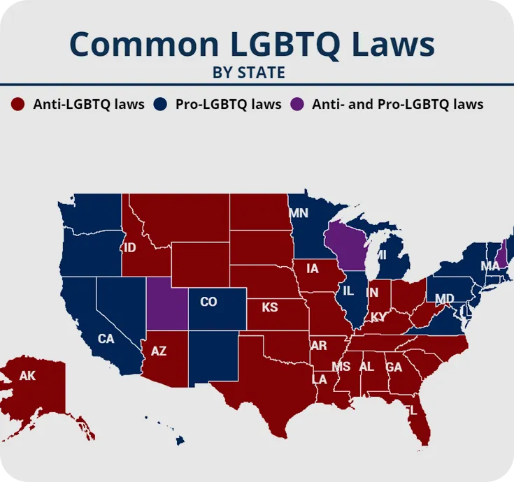 The gay rights movement since the mid-20th century