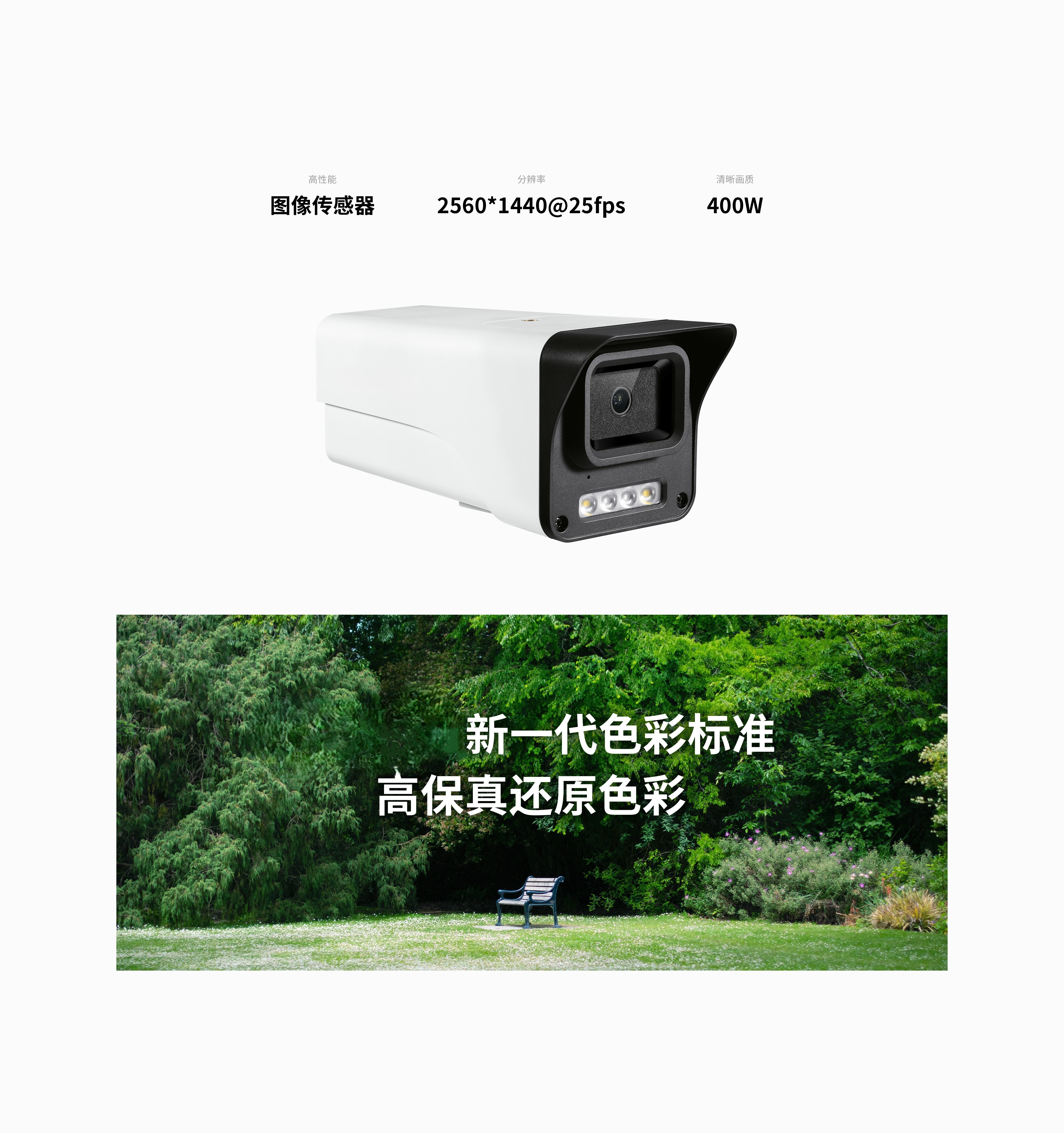 TL_IPC544EP_AI_4480px_03.jpg TL_IPC544EP_AI_4480px_03.jpg