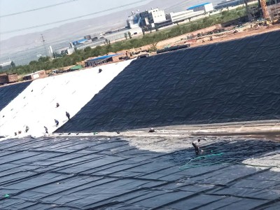 1-23020Z9255M53.jpg 1-23020Z9255M53.jpg