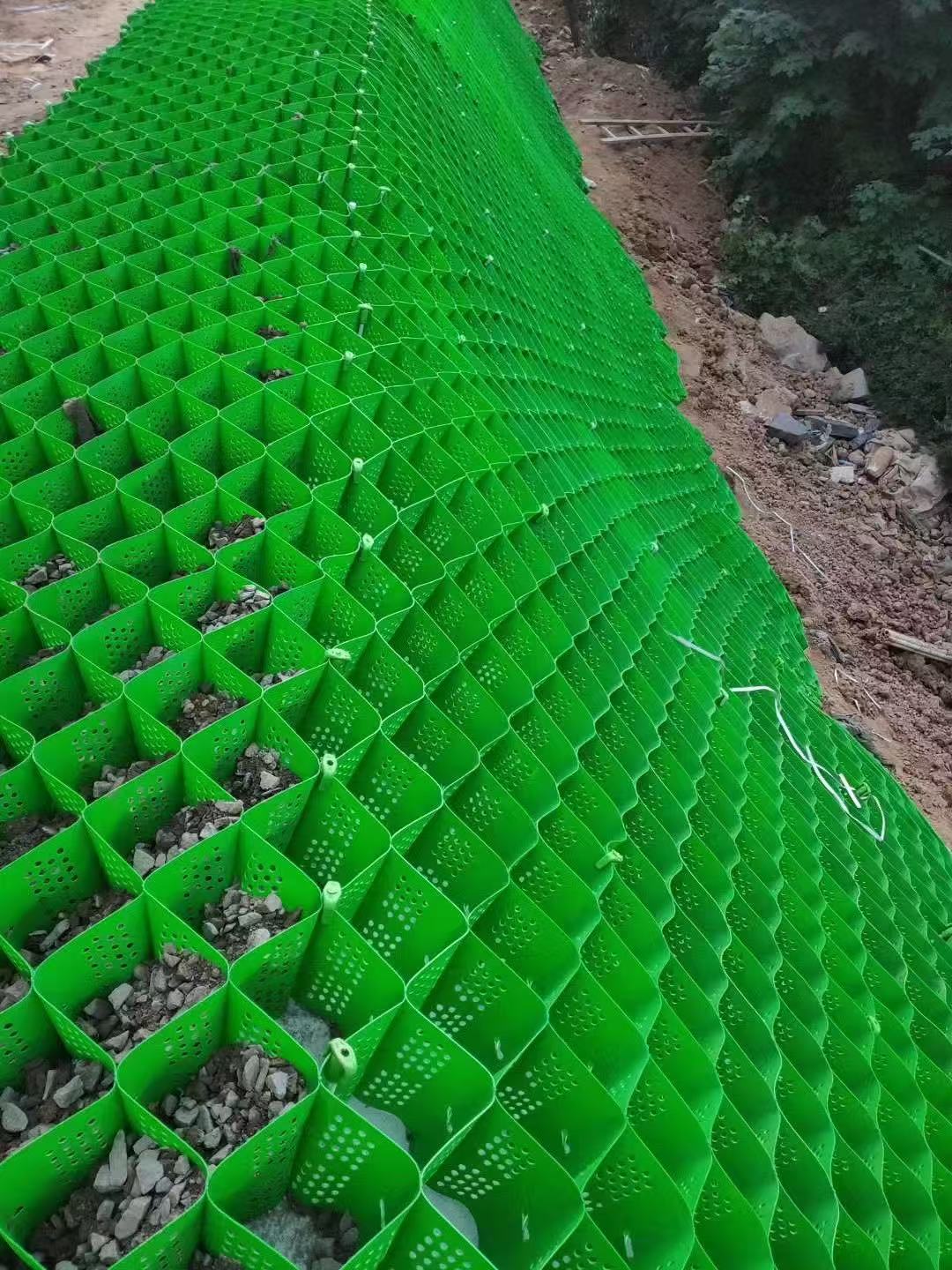 微信图片_20251011163443_489_116.jpg 微信图片_20251011163443_489_116.jpg