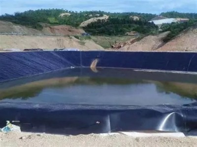 OIP-C (2).jpg OIP-C (2).jpg