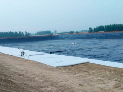 R-C (4).jpg R-C (4).jpg