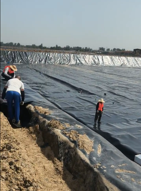 Durable Slope Protection Geotextile UV and Weather Resistant