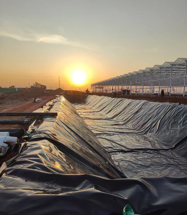 Reinforcement Erosion Control Geotextile High Tensile Strength