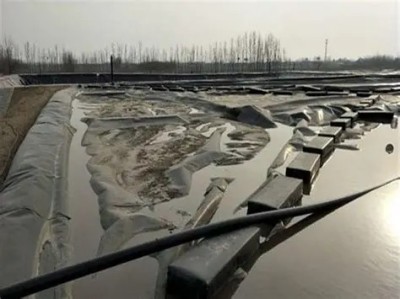 OIP-C (1).jpg OIP-C (1).jpg