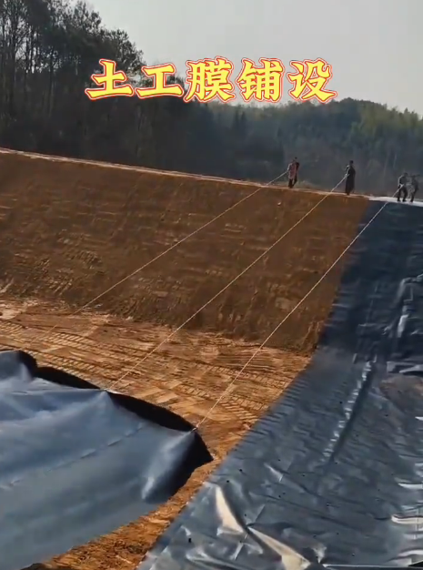 HDPE Pond Lining Composite Geomembrane for Fish Ponds