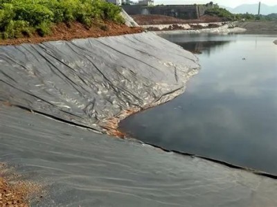 OIP-C (3).jpg OIP-C (3).jpg