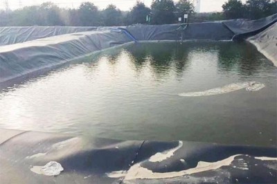 202402211708503445877119.jpg 202402211708503445877119.jpg