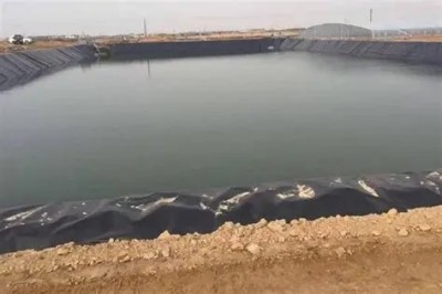 OIP-C (1).jpg OIP-C (1).jpg