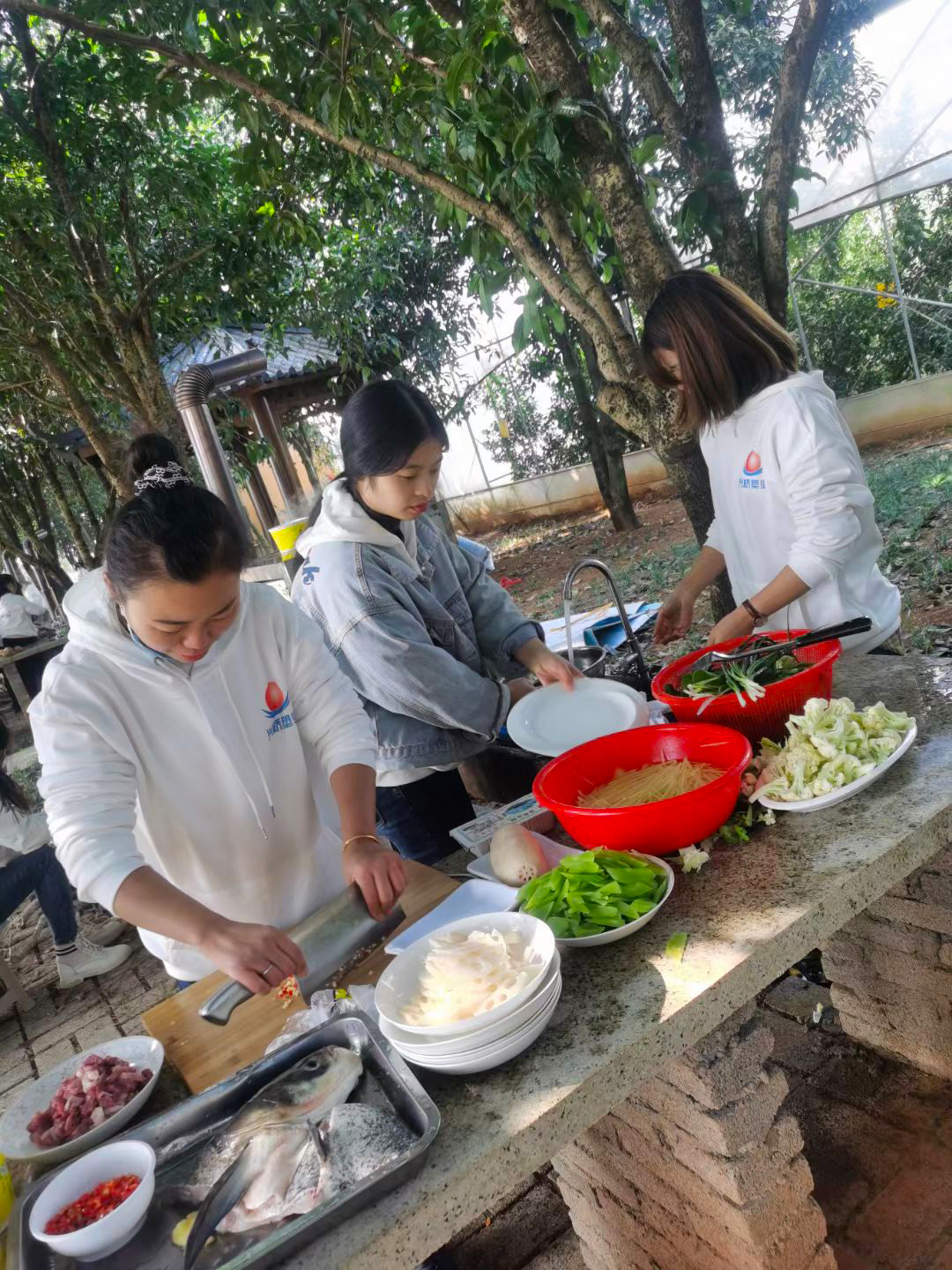 微信图片_20250927144815_128_312.jpg 微信图片_20250927144815_128_312.jpg