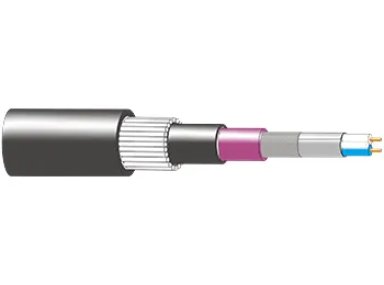 Speaker Cable